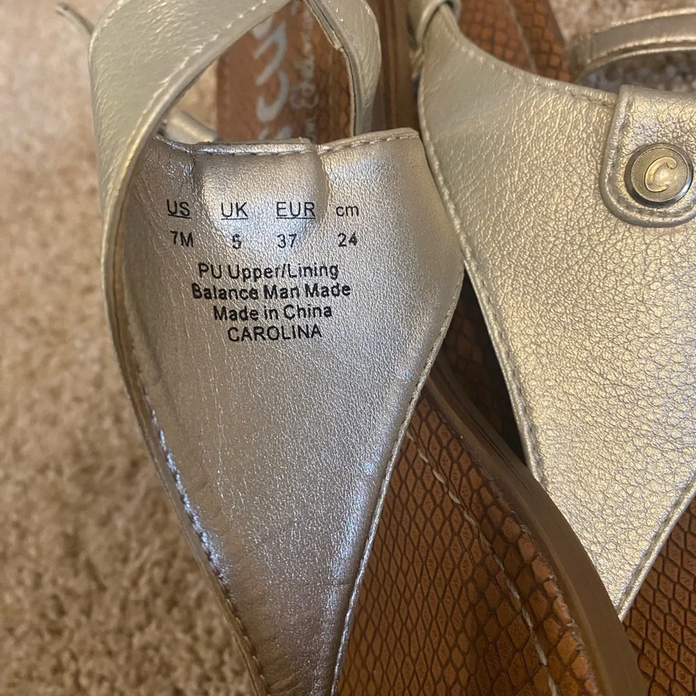 Circus by Sam Edelman Carolina Silver and Brown Sandals
